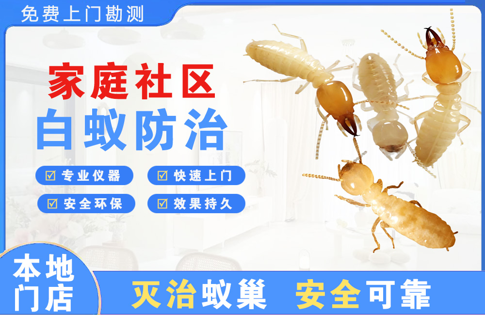 宜兴家庭社区白蚁防治