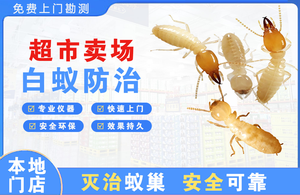 宜兴超市卖场白蚁防治