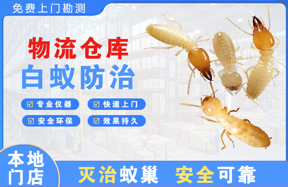 宜兴物流仓库白蚁防治