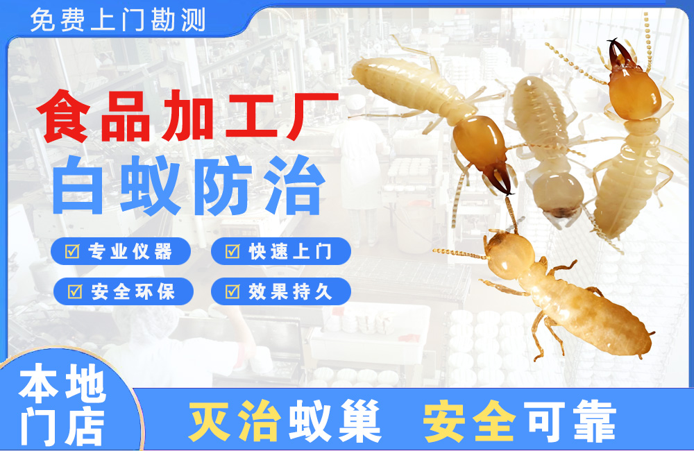 宜兴食品加工厂白蚁防治