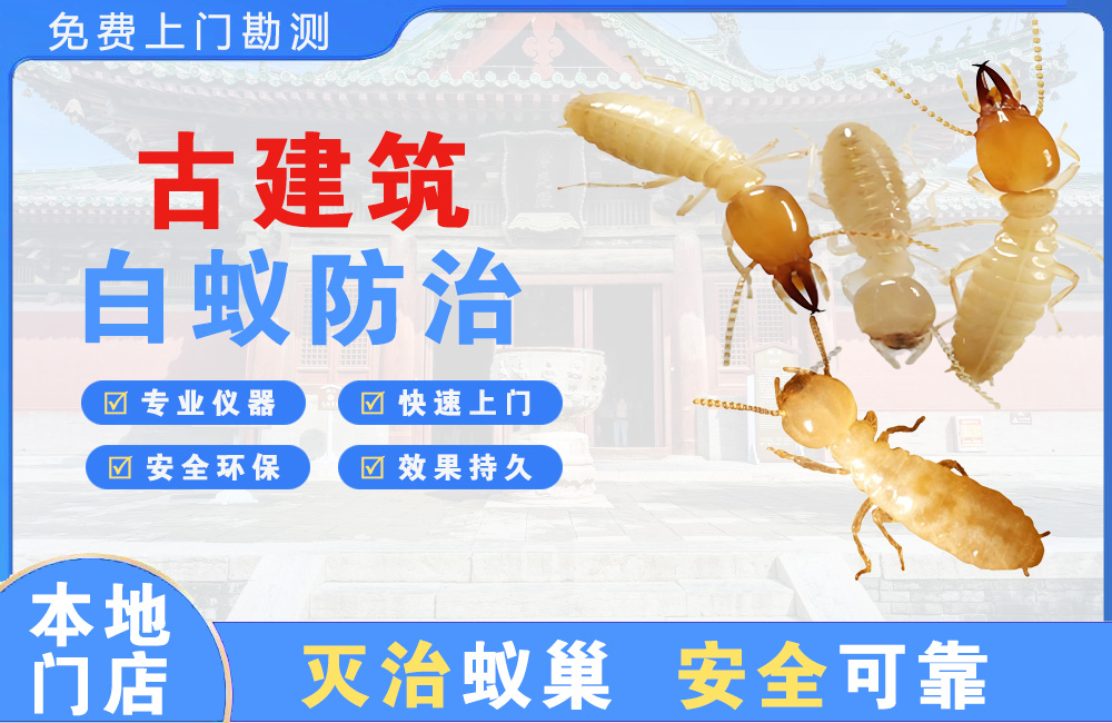 宜兴古建筑白蚁防治