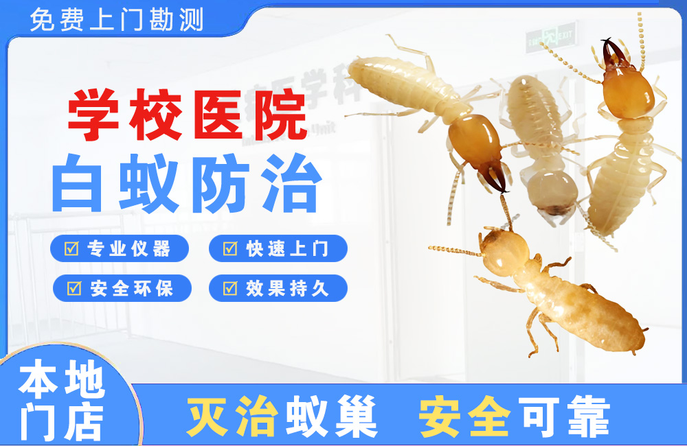 宜兴学校医院白蚁防治