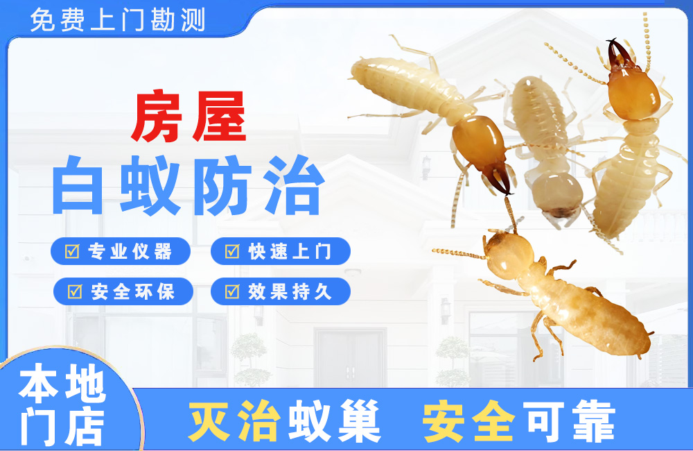宜兴房屋白蚁防治