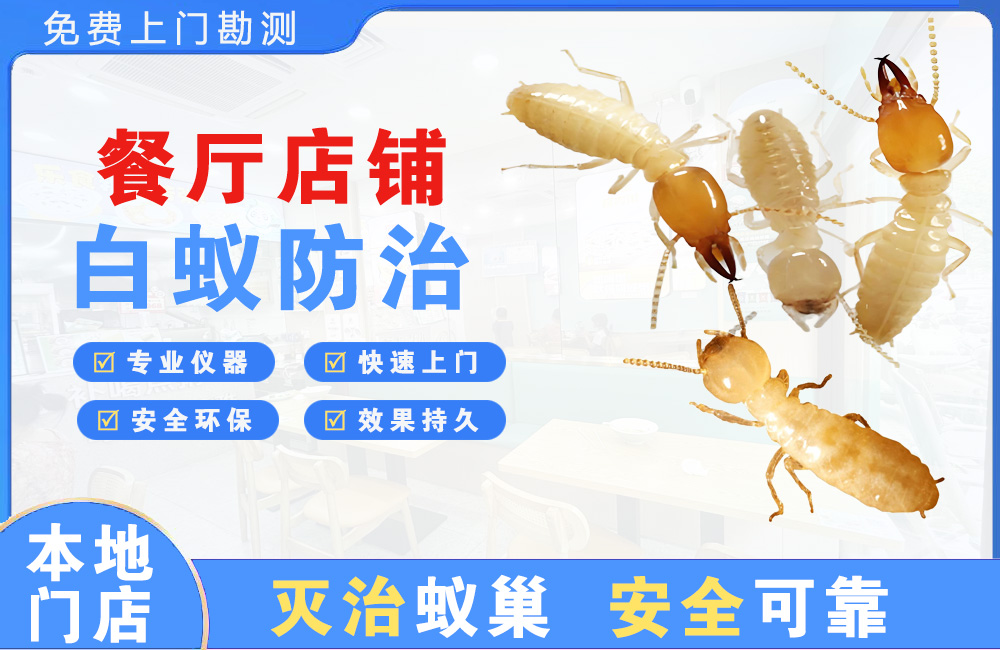 宜兴餐厅店铺白蚁防治